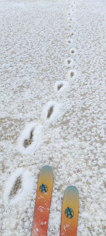 Aurajoen alaosan alue (28.001)-Havaintopaikka 3-ObsIMG-202101151400-31.jpg