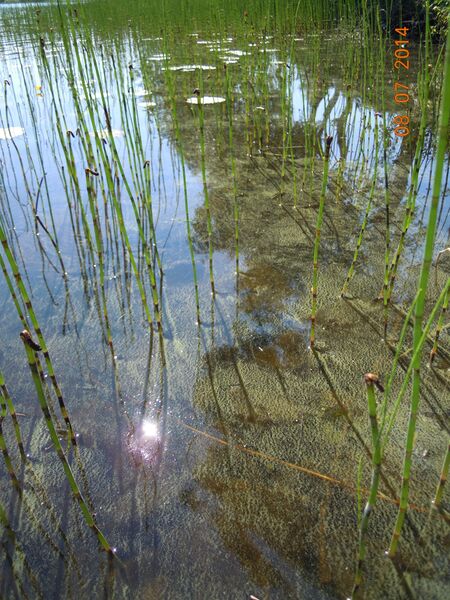 Tiedosto:Pyhitty 8-7-2014.JPG