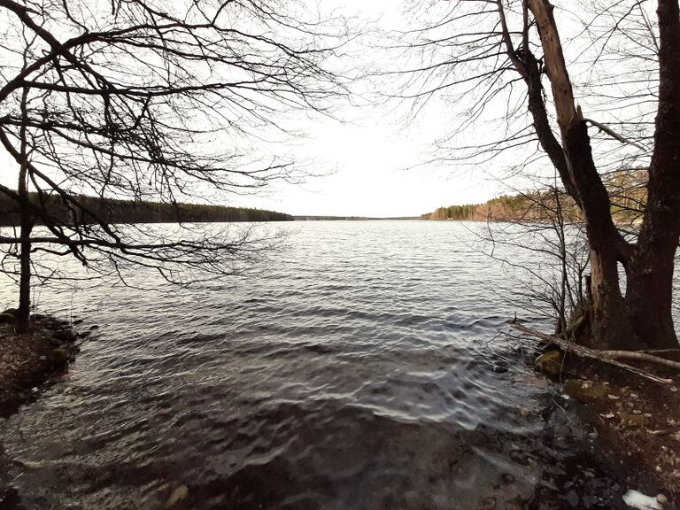 Sääksjärvi (23.097.1.002)-Sääksjärvi-ObsTEMP-202004231930-41.jpeg