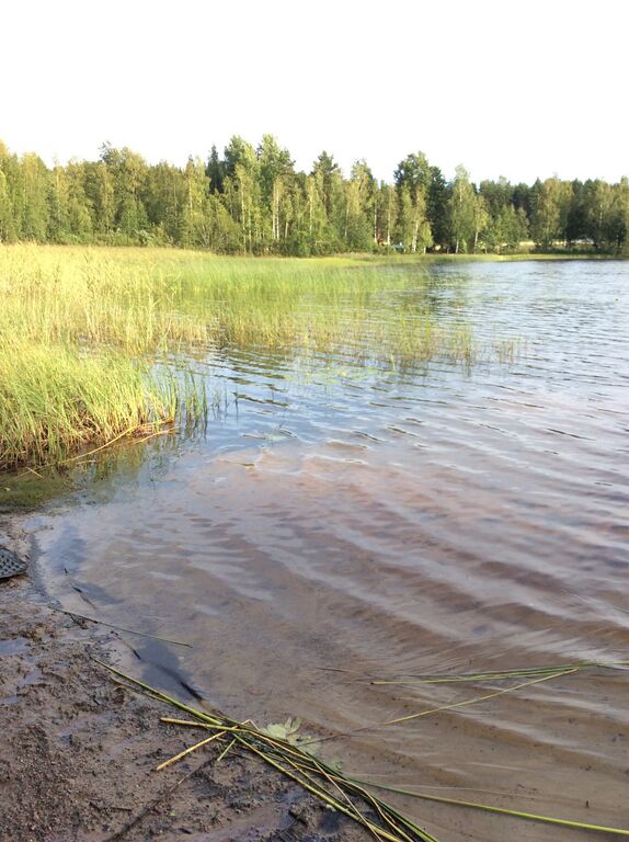 Sanijärvi1.jpg