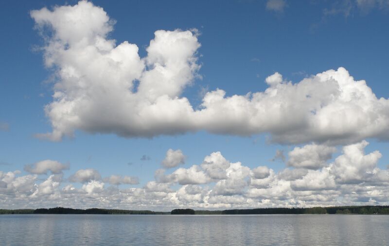 Tiedosto:Unnukka Paloisselkä.jpg