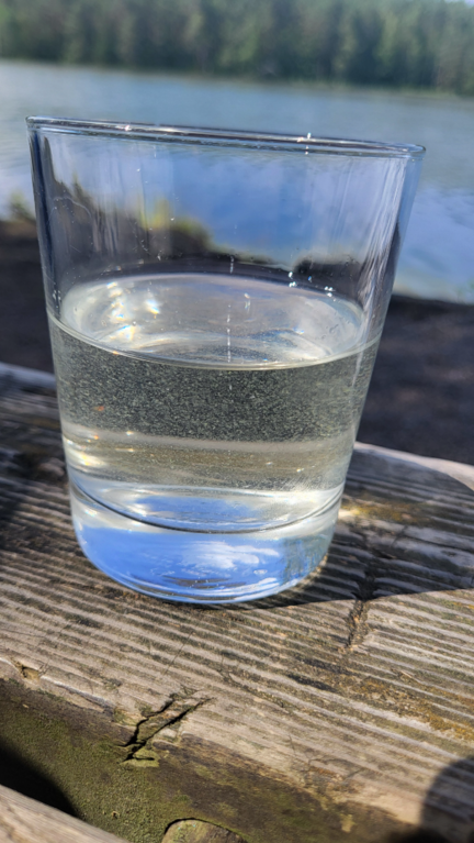 Vähä Tiilijärvi (14.244.1.004)-Lounaisranta-ObsALG-202507131520-1752409312069.png