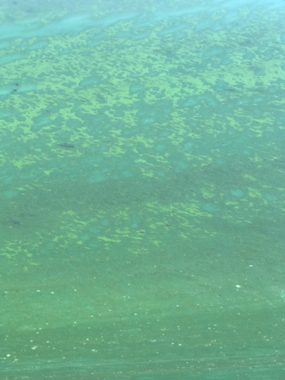 Aalisjärvi (67.954.1.001)-Havaintopaikka-ObsIMG-202107281515-61014ab6292e9.png