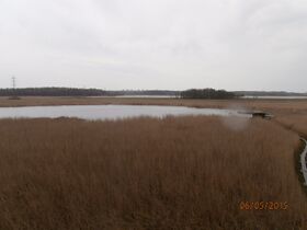 Pornaistenniemen lintutornista.JPG