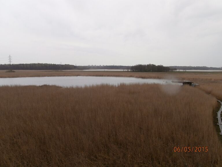 Pornaistenniemen lintutornista.JPG