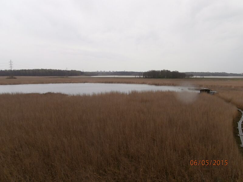 Tiedosto:Pornaistenniemen lintutornista.JPG