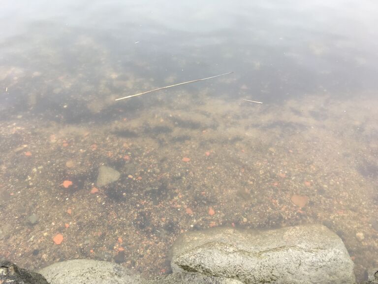 Velkuan - Iniön välisaaristo-Heilunsalmi-ObsIMG-202004121304-25.jpeg