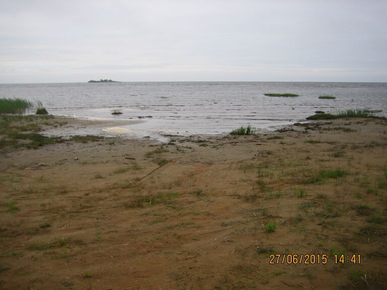 Ypparin uimaranta.JPG