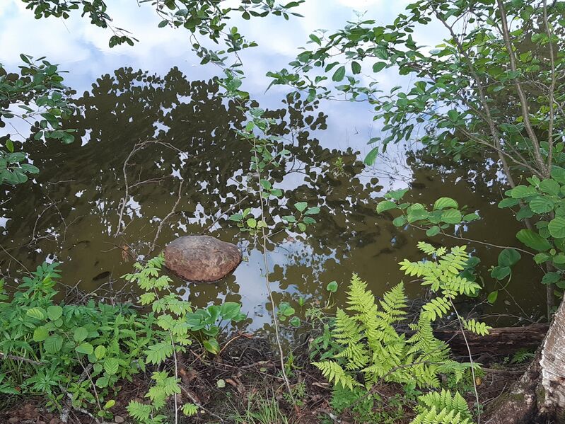 Tiedosto:20200716 205243.jpg