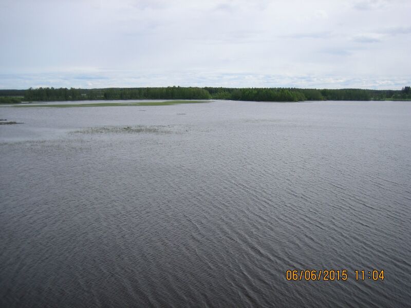 Tiedosto:Erkkisjarven lintutornista.JPG