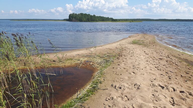 Oulujärvi (yhd.)-Makkaraniemi-ObsIMG-201607261200-10.jpg