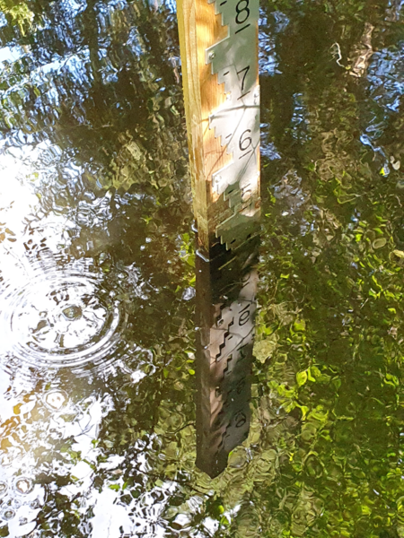 Tiedosto:Urpolanjoen valuma-alue (04.152)-Urpolan aarimaan puistoväylän silta-ObsIMG-202406251144-667afce0993b7.png