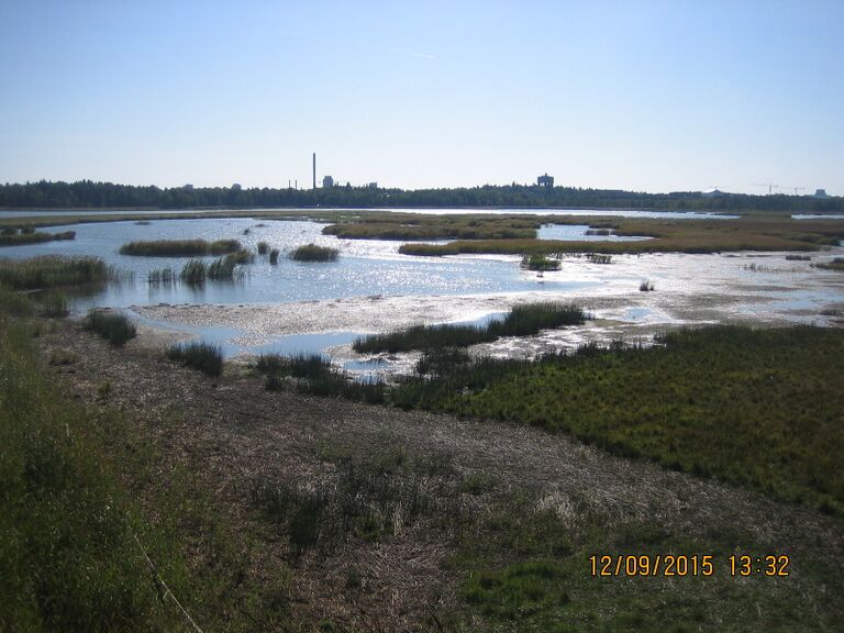 Elfvikin lintutornista etuoikealle.JPG