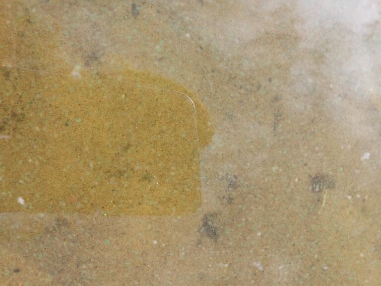 Jääsjärvi (14.821.1.001)-Havaintopaikka 1-ObsALG-201906171724-96.jpg