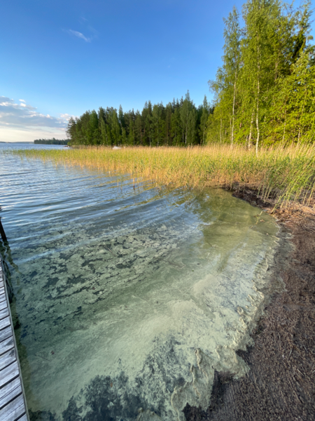 Tiedosto:Keitele (yhd.)-Havaintopaikka 2-ObsIMG-202606151849-6a303d063c418.png