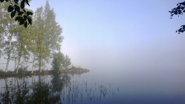 Koljonniemen vanha laituri.jpg