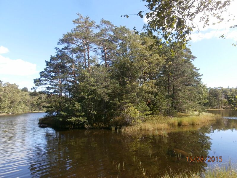 Tiedosto:Pentalanjarven saari.JPG