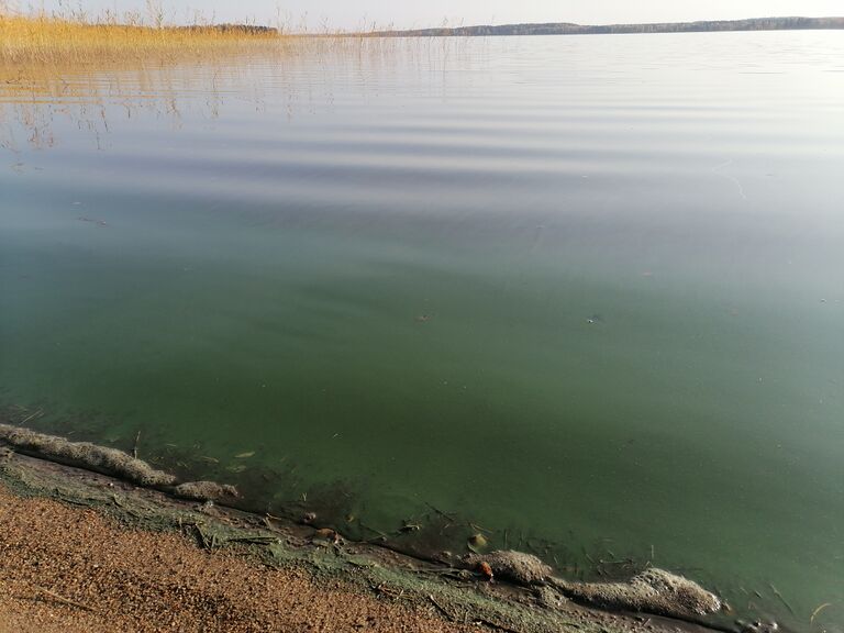 Alvajärvi (14.481.1.001)-Reisjärventie 1493-ObsIMG-202009271627-7.jpg