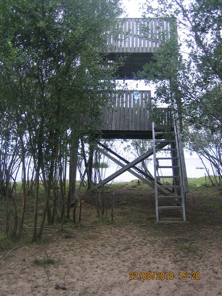 Tiedosto:Amman lintutorni.JPG