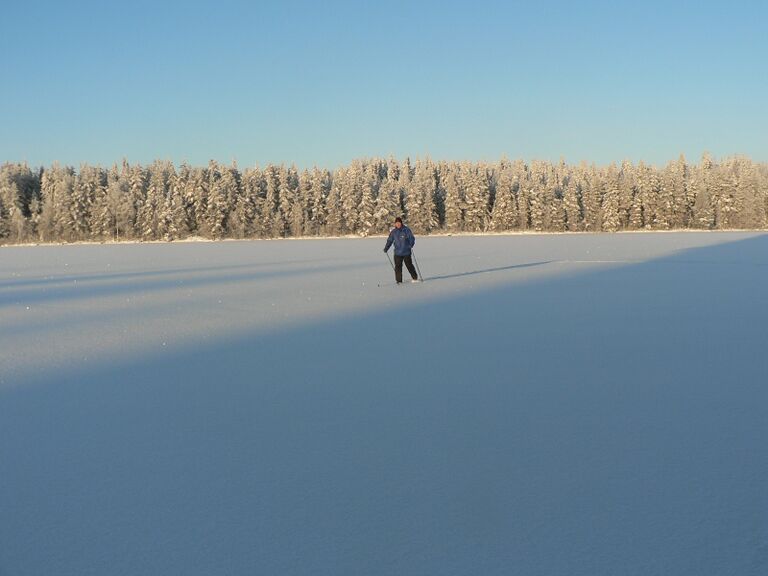 Kapustalahdella sivakoimassa.JPG