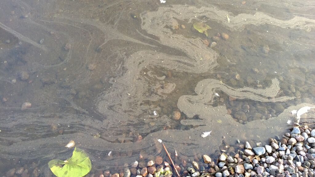 Katumajarvi 27082013.jpg