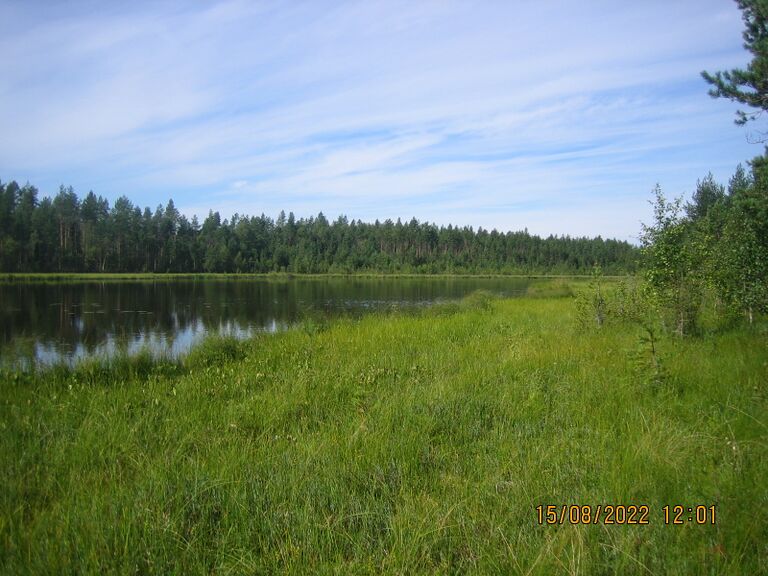 Länsipään suuntaan.JPG