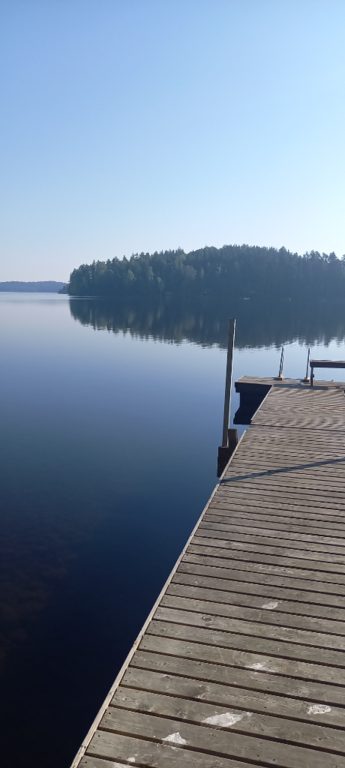 Saimaa (04.112.1.001)-Rotarien sinileväseuranta (Pulkkaselkä, Hietalahti)-ObsIMG-202407260840-66a337495cdc7.png