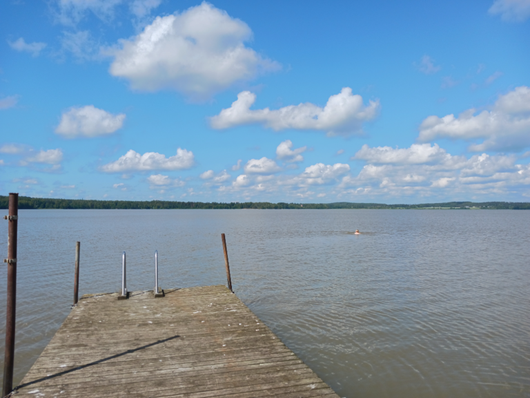 Villikkalanjärvi (16.003.1.003)-Valtakunnallinen sinileväseuranta-ObsIMG-202306271507-649ad1aa0ec4f.png