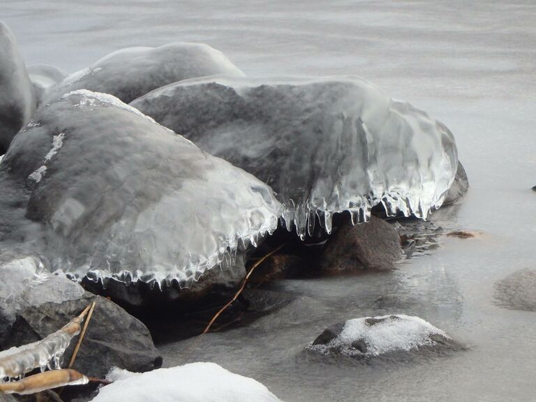 10904453 763609207037763 188826667521882556 o.jpg