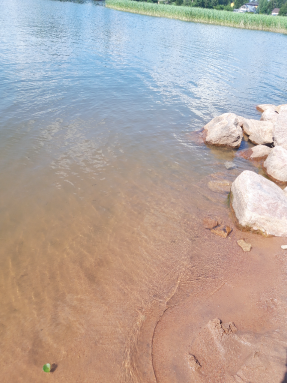 Pyhäjärvi (34.031.1.001)-Valtakunnallinen sinileväseuranta (Katismaan uimaranta)-ObsALG-202206281510-62baf05db9ae6.png