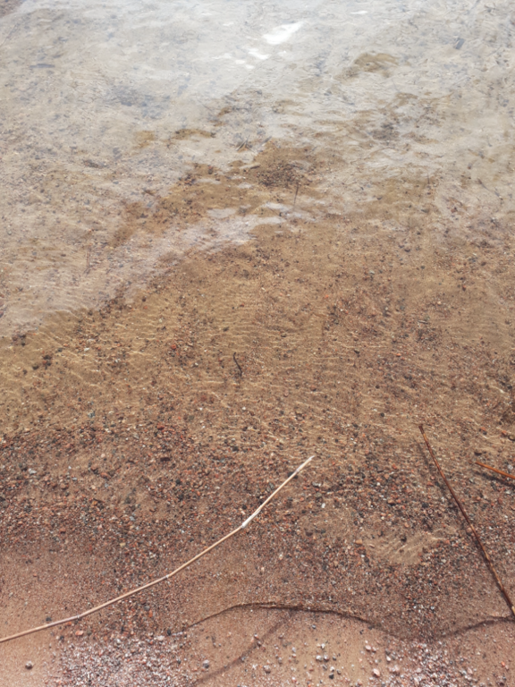 Urajärvi (14.123.1.001)-Valtakunnallinen sinileväseuranta-ObsIMG-202206150839-62a970ba73fda.png