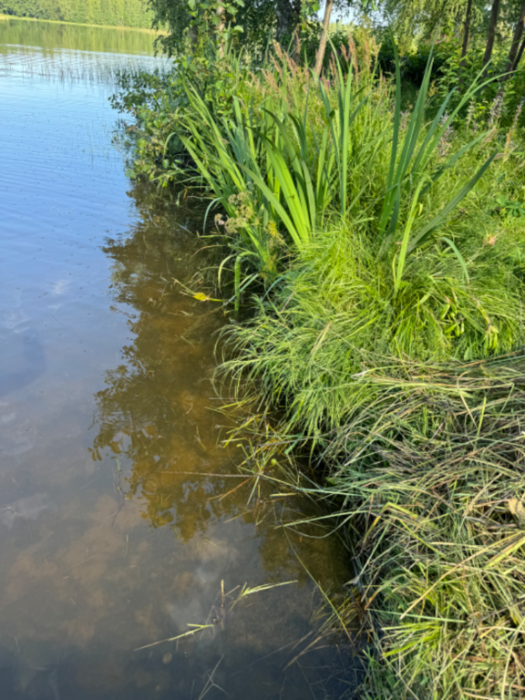 Heiniö (14.937.1.014)-Heiniönkankaantie 57-ObsIMG-202407220909-669df86832897.png