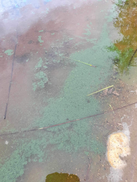 Kälviä-Kokkola-Möllerin pienvenesatama-ObsALG-202308050742-64cf24d4d6a6f.png