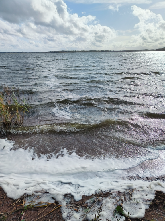 Köyliönjärvi (34.054.1.001)-Valtakunnallinen sinileväseuranta (Yttilän Otta)-ObsALG-202509161550-1758093875079.png