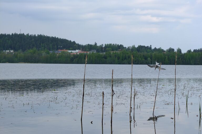 Kirkkojarvi Kangasala 5.jpg