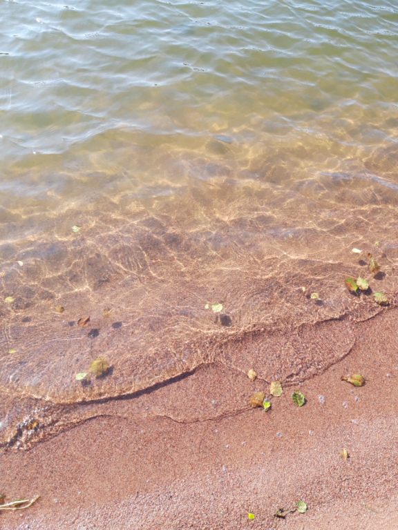 Pyhäjärvi (34.031.1.001)-Valtakunnallinen sinileväseuranta (Katismaan uimaranta)-ObsALG-202307111758-64ad6e69e286f.png