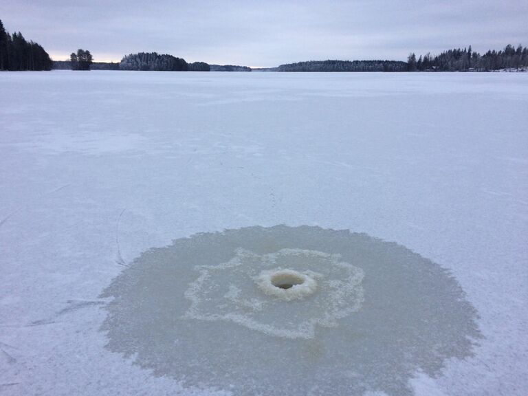 Sääjärvi (35.840.1.004)-Metsänvartijan tila, Haitintupa-ObsICE-201801141400-36.jpg