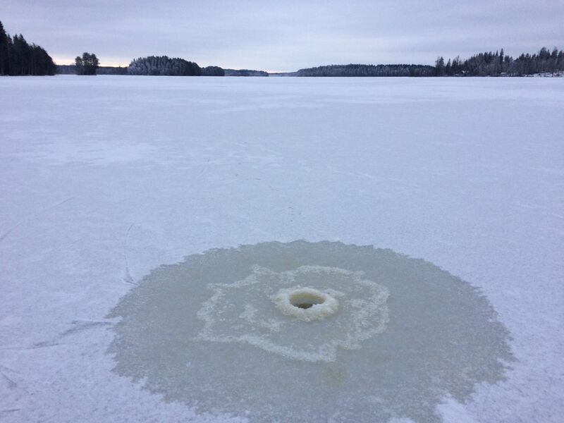 Tiedosto:Sääjärvi (35.840.1.004)-Metsänvartijan tila, Haitintupa-ObsICE-201801141400-36.jpg