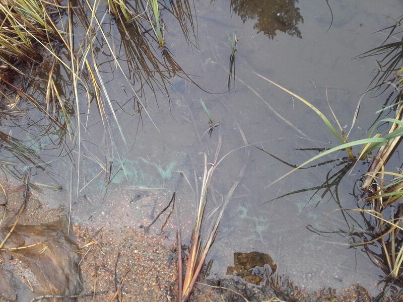 Tiedosto:Kitka, lokakuu.jpg