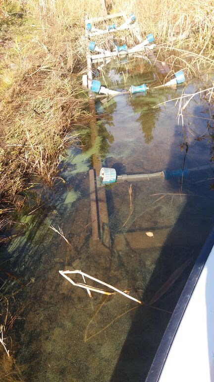 Korshamnsfjärden-Storfjärden-Tallskatvägens strand, botten av Halskärsbotten-ObsIMG-201909260930-15.jpg