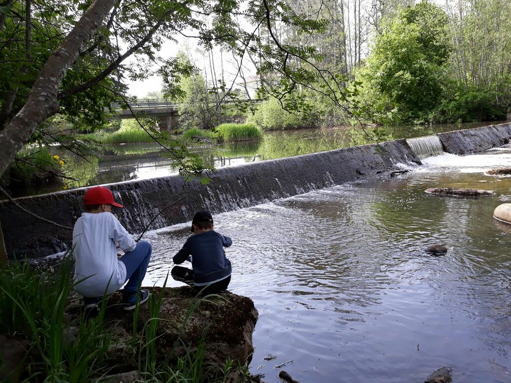 Lapinjoen alaosan alue (33.001)-Lapijoen koulu, Koivuniementien silta-ObsIMG-201905201129-85.jpg