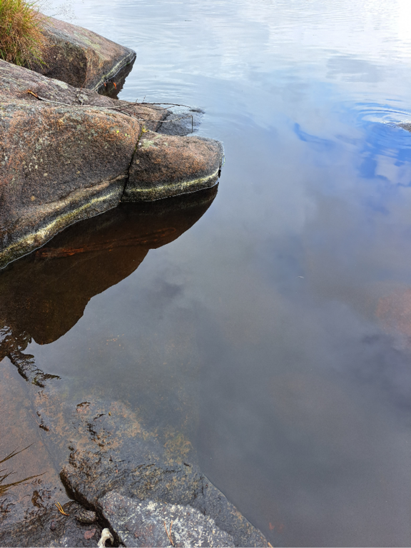 Luodonjärvi (99.110.1.001)-Valtakunnallinen sinileväseuranta-ObsALG-202307051558-64a56906e58d9.png
