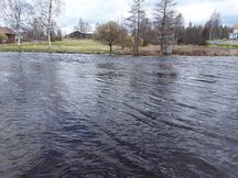 Merikarvianjoen suualue (36.011)-Holmankoski-ObsIMG-201805071202-41.jpg