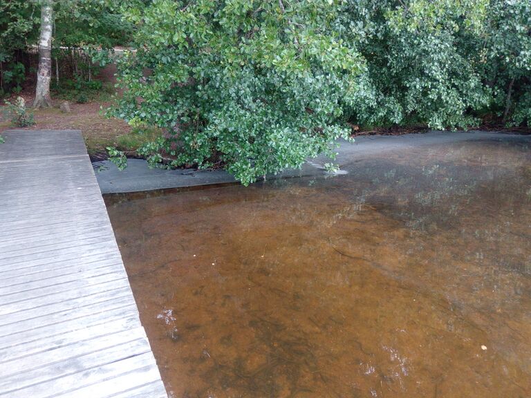 Orijärvi (13.007.1.002)-Silmuntien varresta-ObsIMG-201807211000-77.jpg