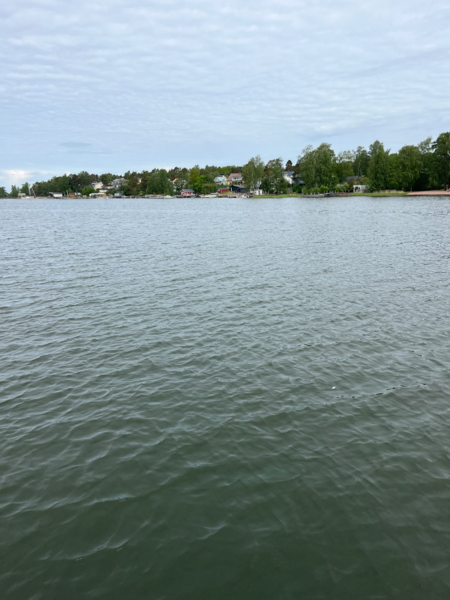 Tiedosto:Rauman edusta-Valtakunnallinen sinileväseuranta (Syväraumanlahti)-ObsIMG-202506101040-1749545119974.png