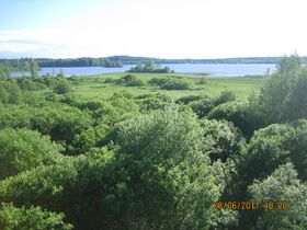 Tarassiinlahden lintutornista.JPG