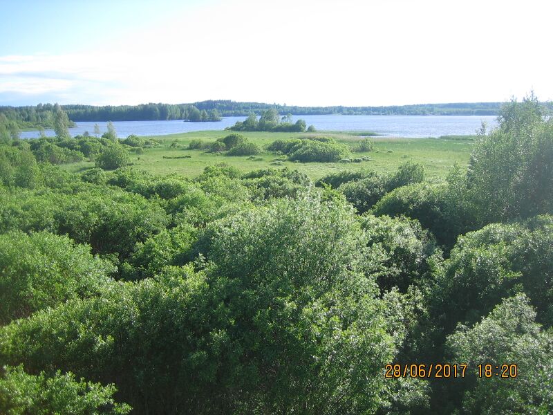 Tiedosto:Tarassiinlahden lintutornista.JPG