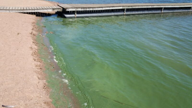 Tiedosto:Urajärvi (14.123.1.001)-Valtakunnallinen sinileväseuranta-ObsIMG-202006231332-4.jpg