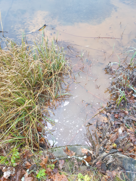 Tiedosto:Urpolanlampi (04.152.1.001)-Uusi hulevesiputki-ObsIMG-202411121404-6733864110ed6.png