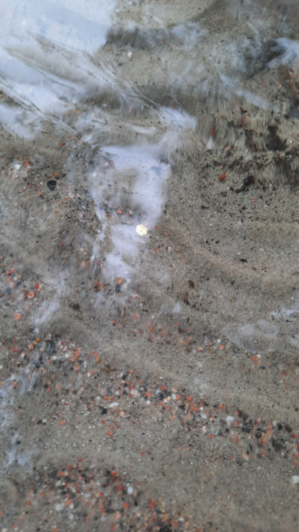 Vesijärvi (14.241.1.001)-Valtakunnallinen sinileväseuranta (pohjoisosa)-ObsIMG-202107200957-60f6748198263.png